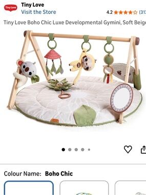 Tiny Love Play Gym